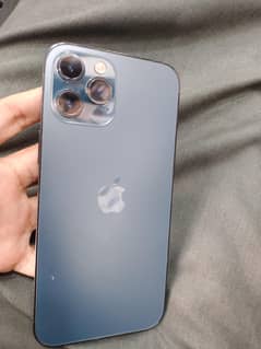 12 pro max