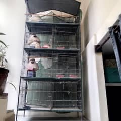 bird cage