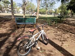20inch bicycle for sale10/10 condition