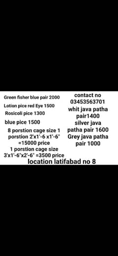 parrot and cage for sell