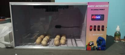 Birds Incubators