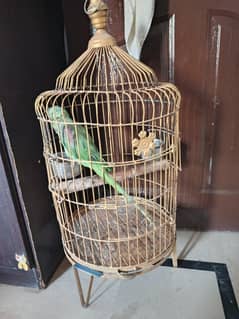 2year old green raw talking parrot with cage