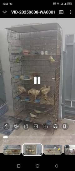 urgent cages for sale