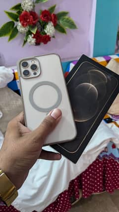 Iphone 12 Pro Max Golden Color Pta Approved