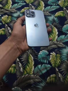 iPhone 13 promax  pTA approved
