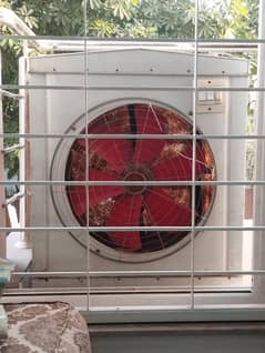 lahori cooler