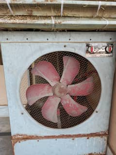 cooler