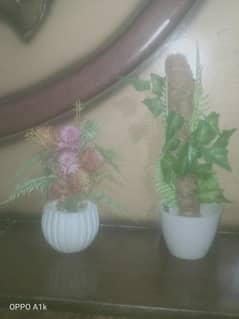 crafts