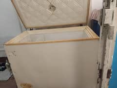 freezer