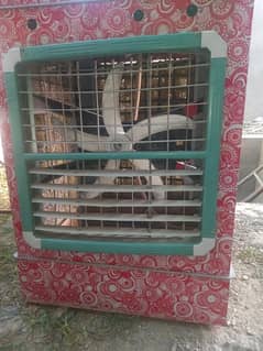 air cooler