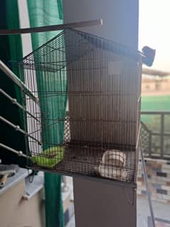 cage for sale