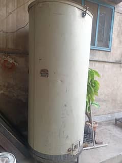 wheat Drum (Heavy body)