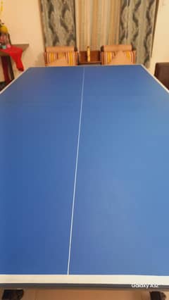 Table tennis.