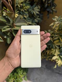 google pixel 7