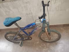 Kids cycle 2023