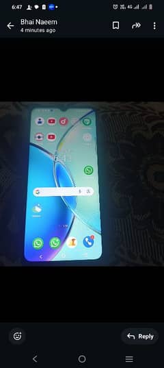 vivo