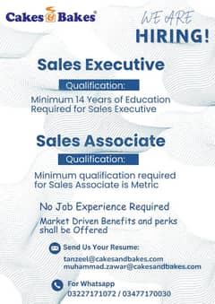 Sales Associate and Sales Executive