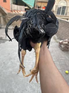 I