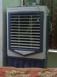 . . . ac and DC air color