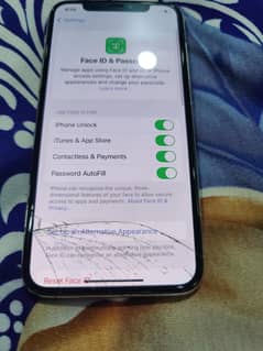 iPhone 11 Pro Max FU 256 GB