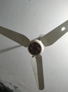 celling fan