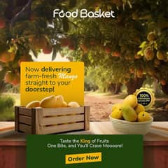 premium quality mangos 10kg
