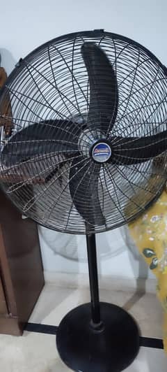 Pedestal fan for sale