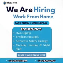 Data Entry and Web Surfing job