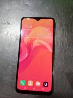 vivo
