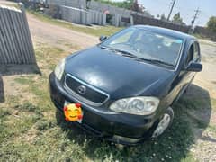 Corolla XLI