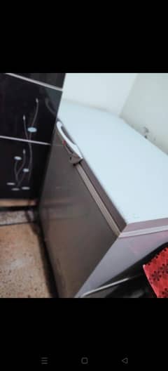 DAWLANCE DEEP FREEZER 10/10
