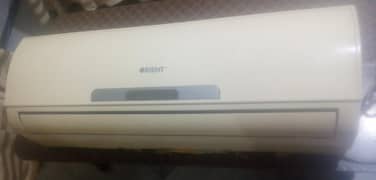 indoor only jenion condition