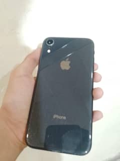 iphone XR [fu]
