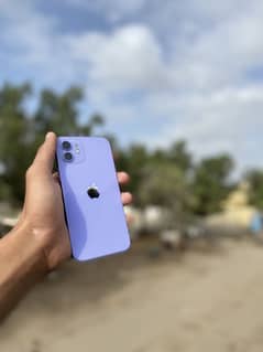 iPhone 12  incheap rate just one dot all okay