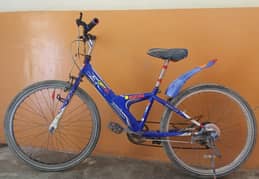 Cycle