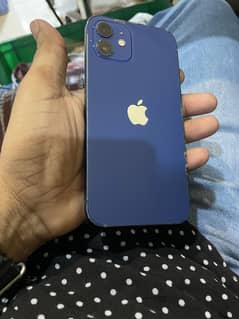 iPhone 12 pta approved water pack