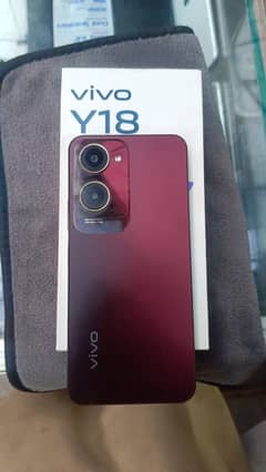 vivo