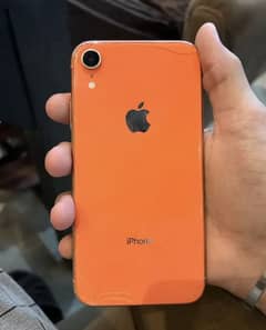 iPhone XR water pack