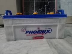 Phoenix 230