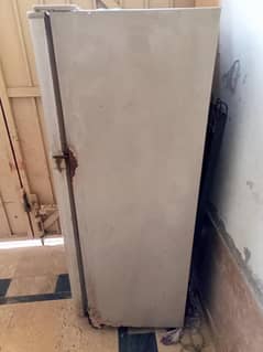 frige
