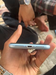 iPhone XR approved