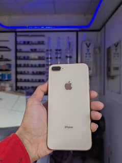 8 plus pta official approved