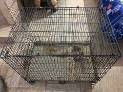 birds cage for sale