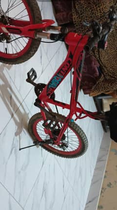 bicycle 
