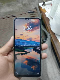 vivo