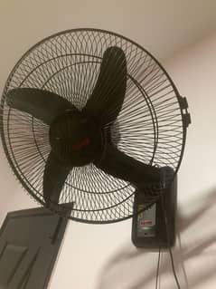 Royal Elegant Bracket Fan