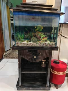 fish aquarium with fishes