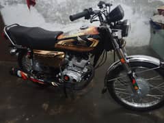 black golden