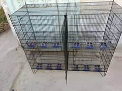 Two Cages