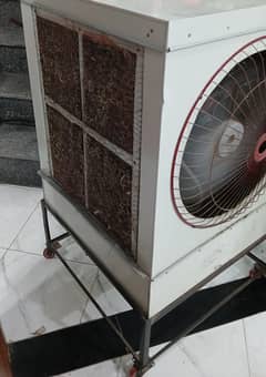 12V
